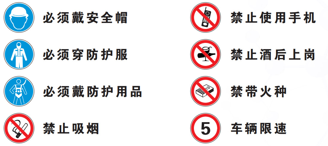 安全規則